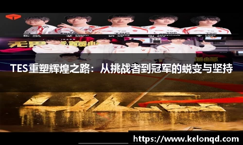 TES重塑辉煌之路：从挑战者到冠军的蜕变与坚持